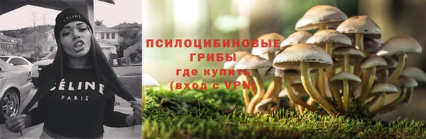 PSILOCYBIN Кукмор