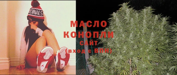 гидра Кулебаки