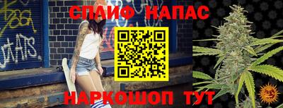 ешки Гагарин