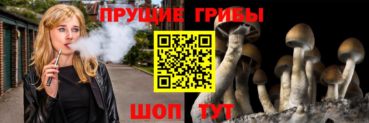 Салават  Псилоцибиновые грибы мухоморы  Вход с VPN 