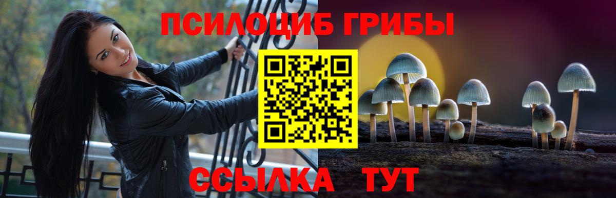 Галлюциногенные грибы мицелий Салават